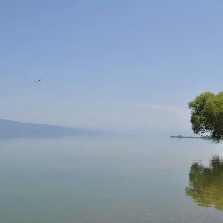 فيلة Lake Stone